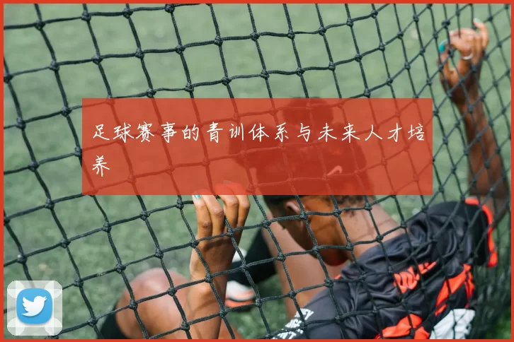 足球赛事的青训体系与未来人才培养