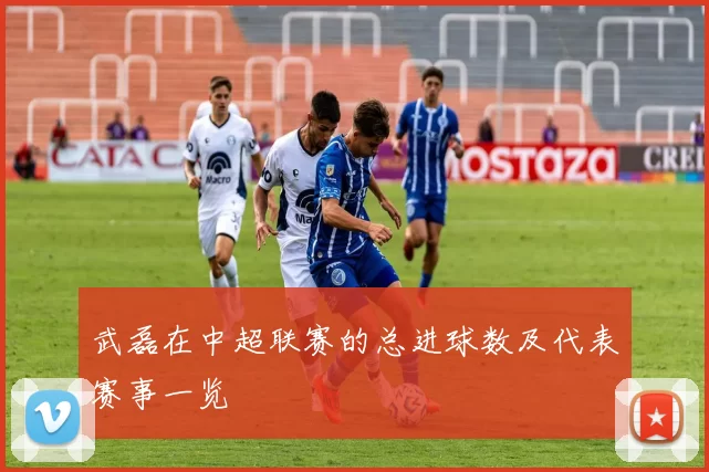 武磊在中超联赛的总进球数及代表赛事一览